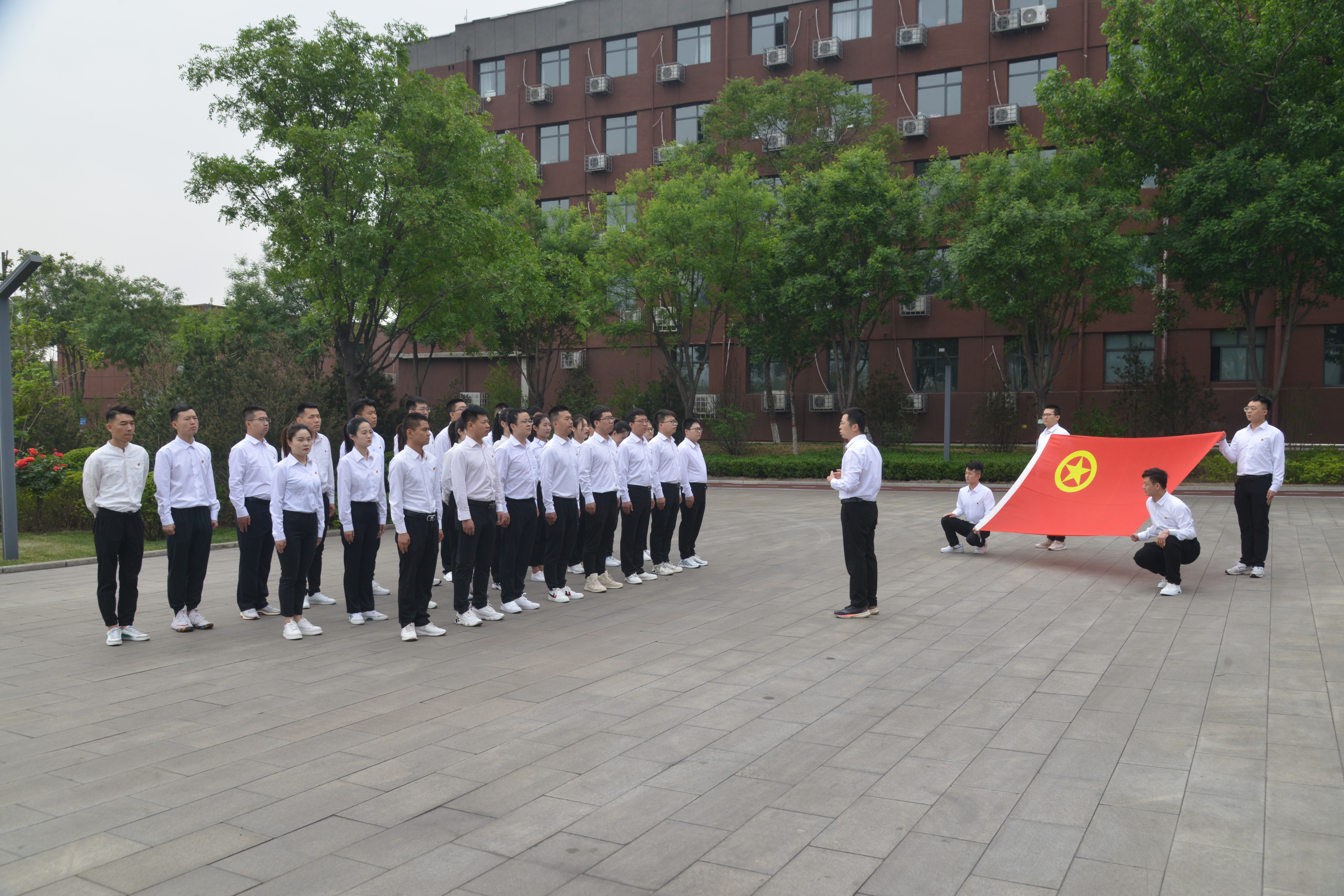 龍鋼公司團委榮獲全國鋼鐵行業“五四紅旗團委（標兵）